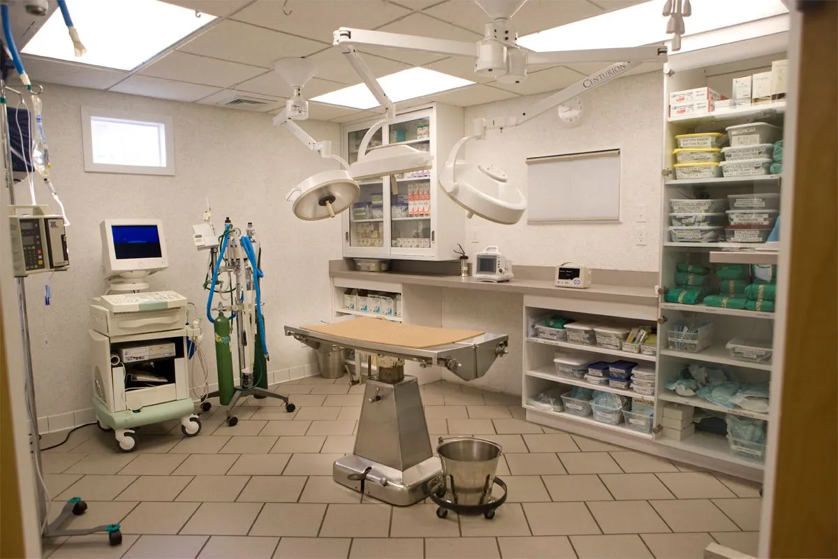 Surgery Suite