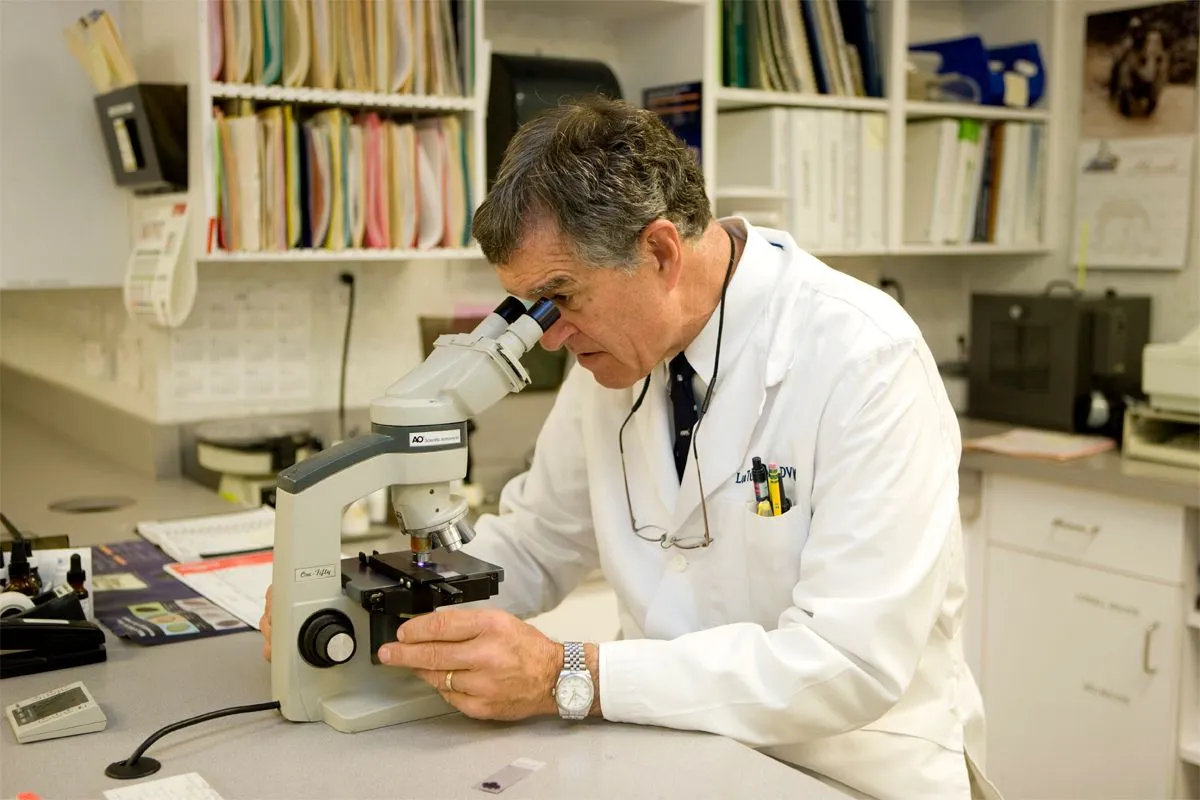 Microscopic Examination