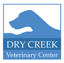 Roseville Veterinarian | Dry Creek Veterinary Center