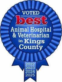 Best of Kings County