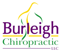 Burleigh Chiropractic logo