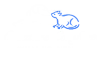 Creature Comforts Animal Hospital