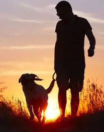 sunset_dog_owner