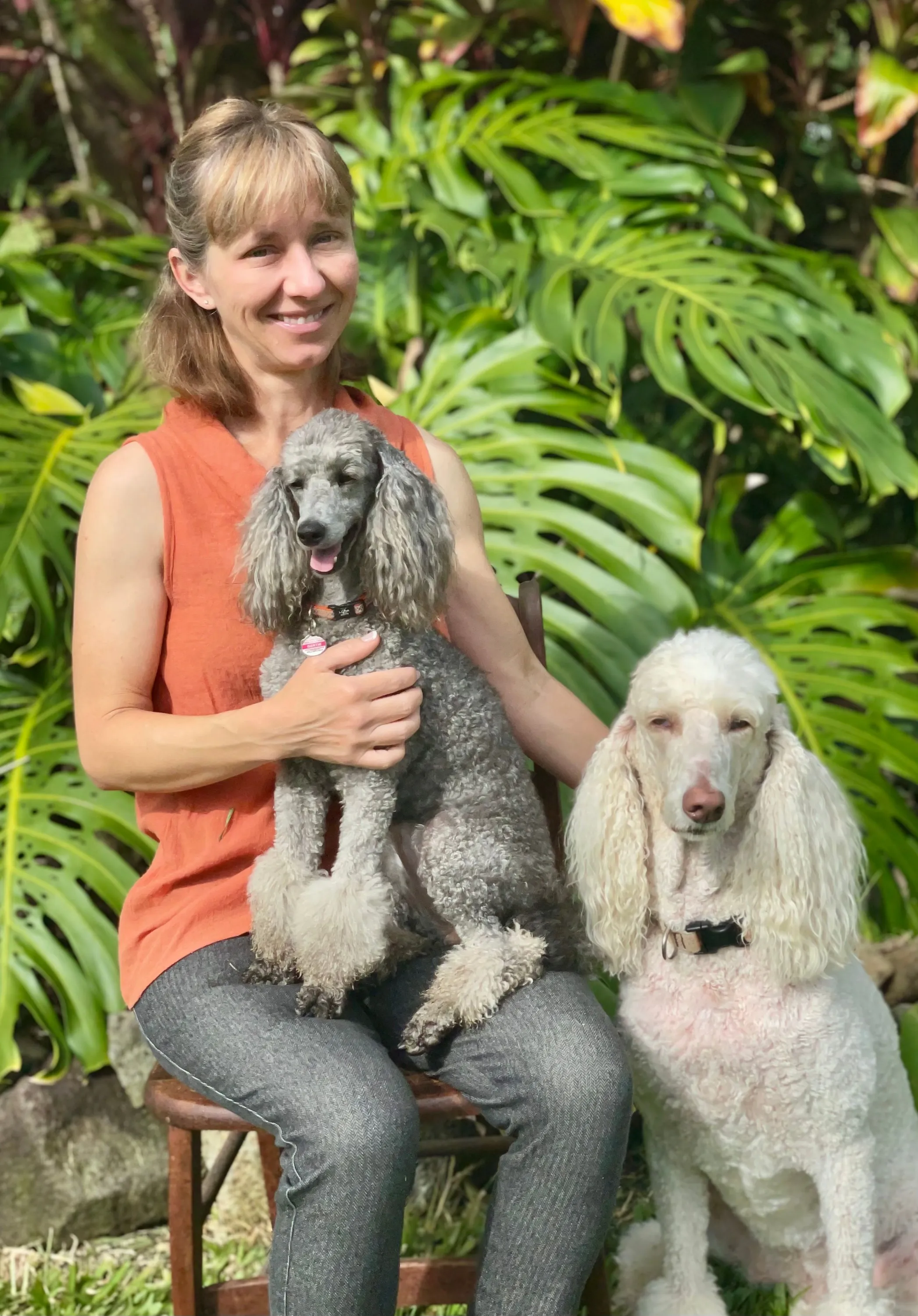 Interests: Advanced Soft Tissue and Orthopedic Surgery, including TPLOs