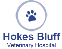 Hokes Bluff Veterinary Hospital