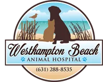 Home | Veterinarian in Westhampton Beach, NY | Westhampton Beach Animal Hospital