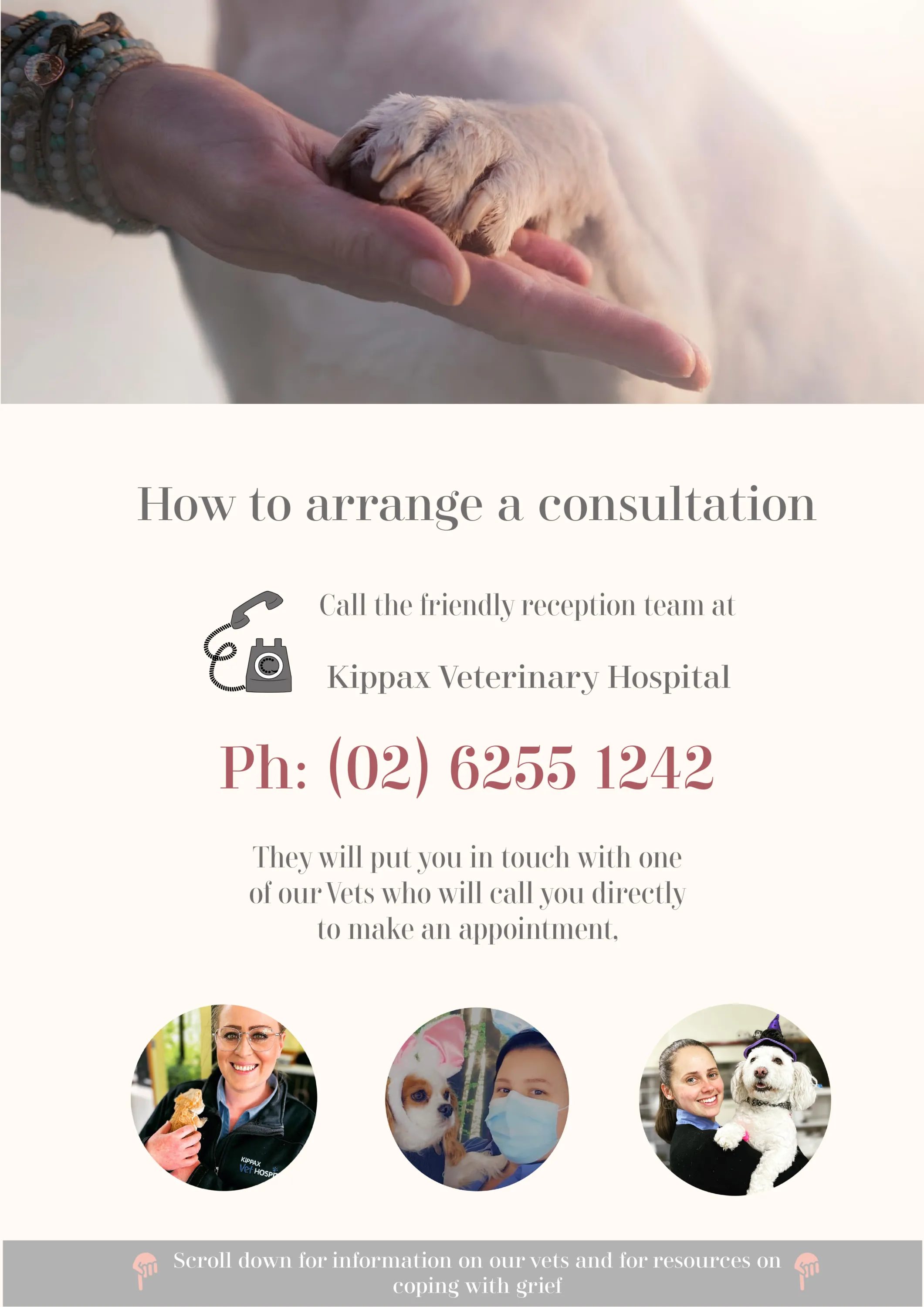 palliative care how to arrange a consultation