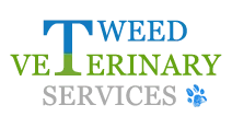 Tweed Veterinary Services