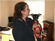 Alice’s Car Accidents