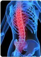 Image result for ultrasound therapy chiropractic