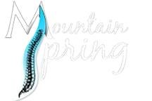 Mountain Spring Chiropractic