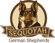Sequoyah German Sheperds