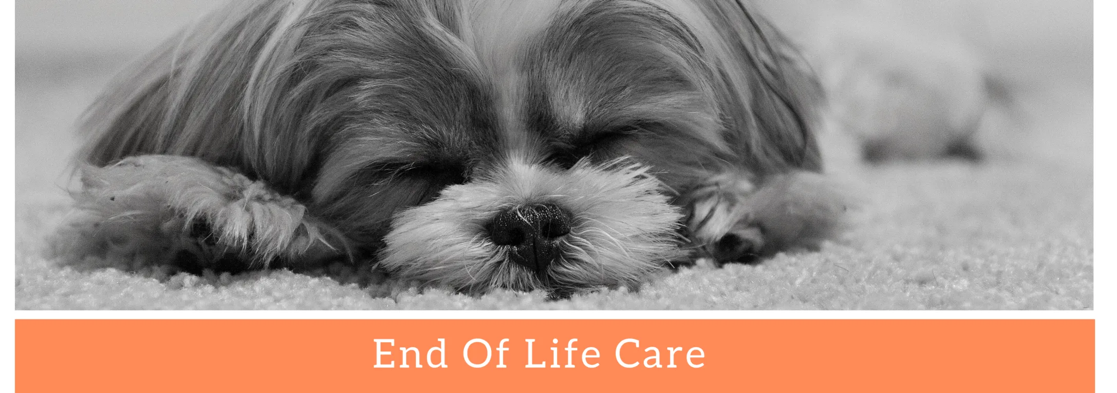 end of life care