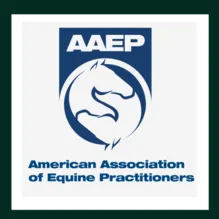 AAEP horse owners