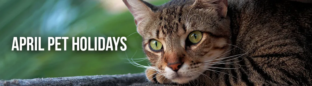 April Pet Holidays