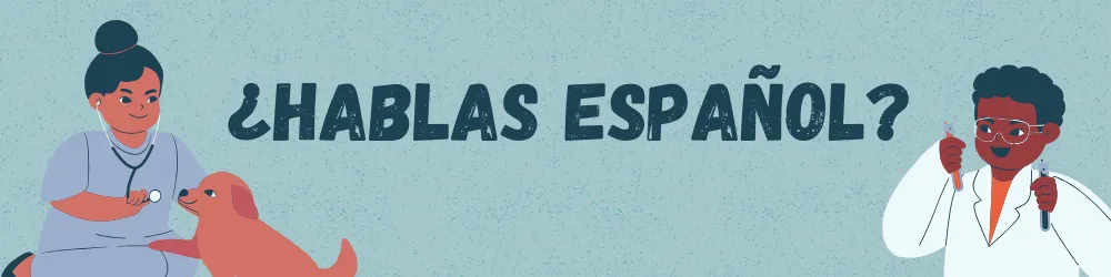 Spanish speaking chiropractor bozeman