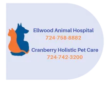 Ellwood Animal Hospital