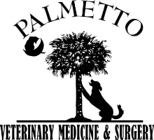 Palmetto