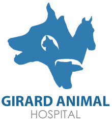 Girard Animal Hospital