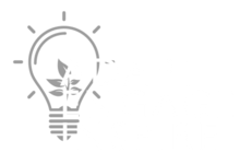 Adapt Engage Inspire LLC