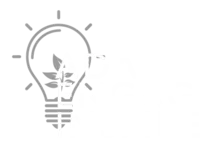 Adapt Engage Inspire LLC