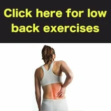 low back exercises for lumbar stability and strengthening