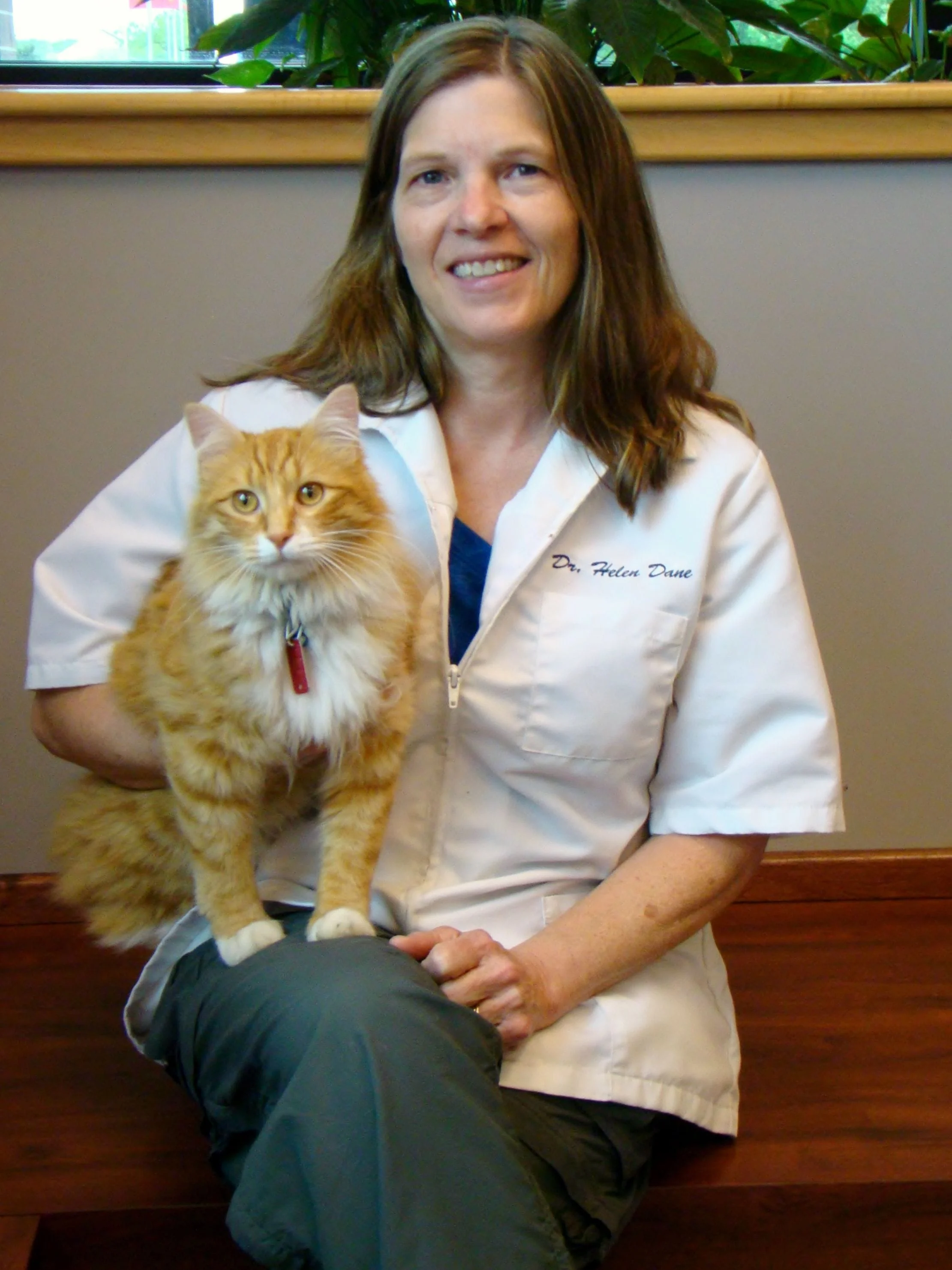 Dr. Helen Dane at Danada Veterinary Hospital in Wheaton