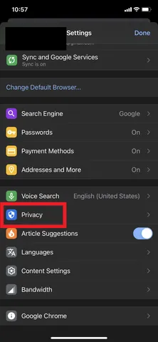 Privacy menu highlighted in Google Chrome for iOS