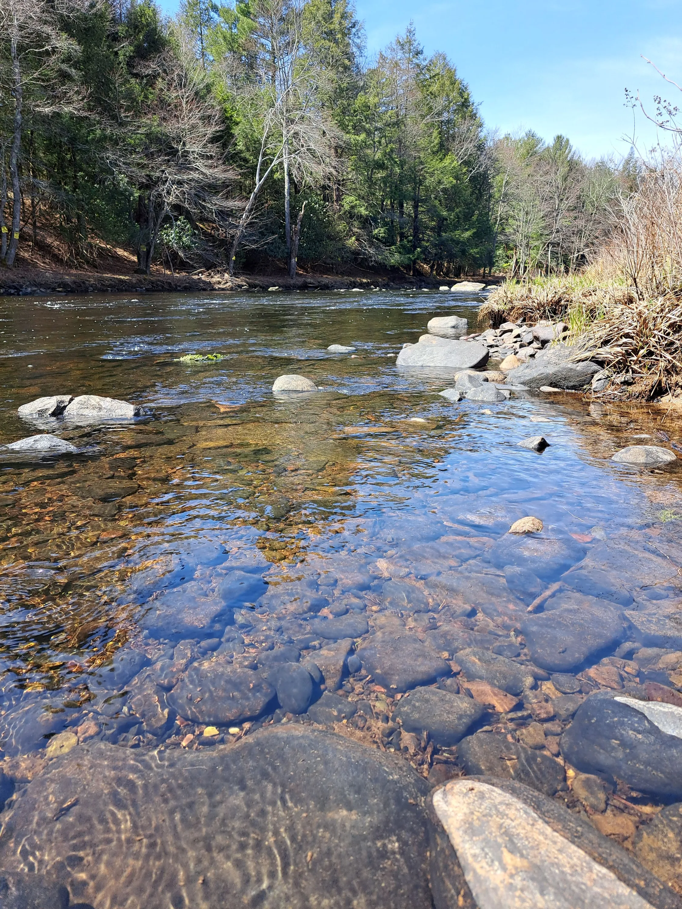 Blakeslee Natural Area