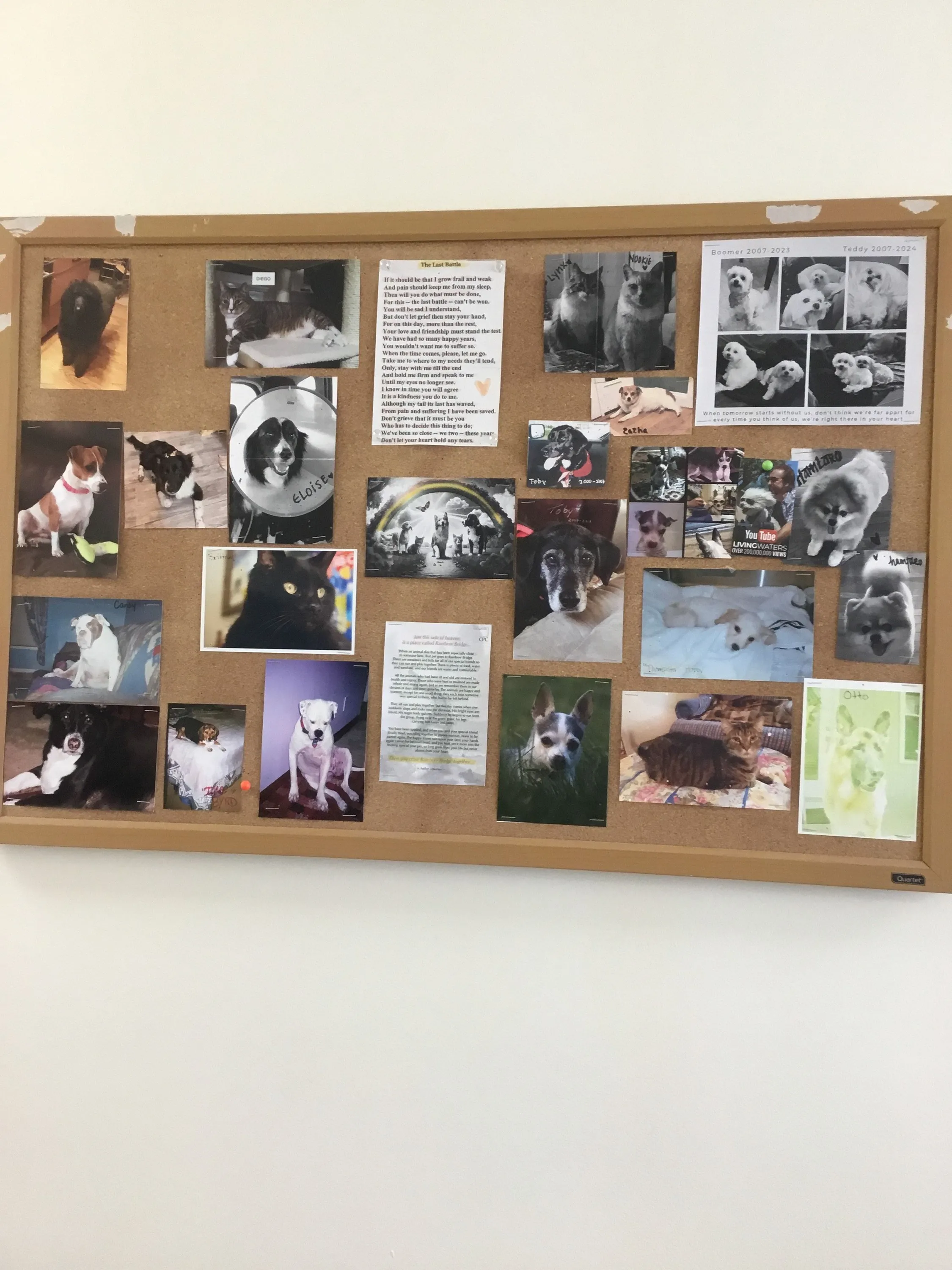 Patient memory board