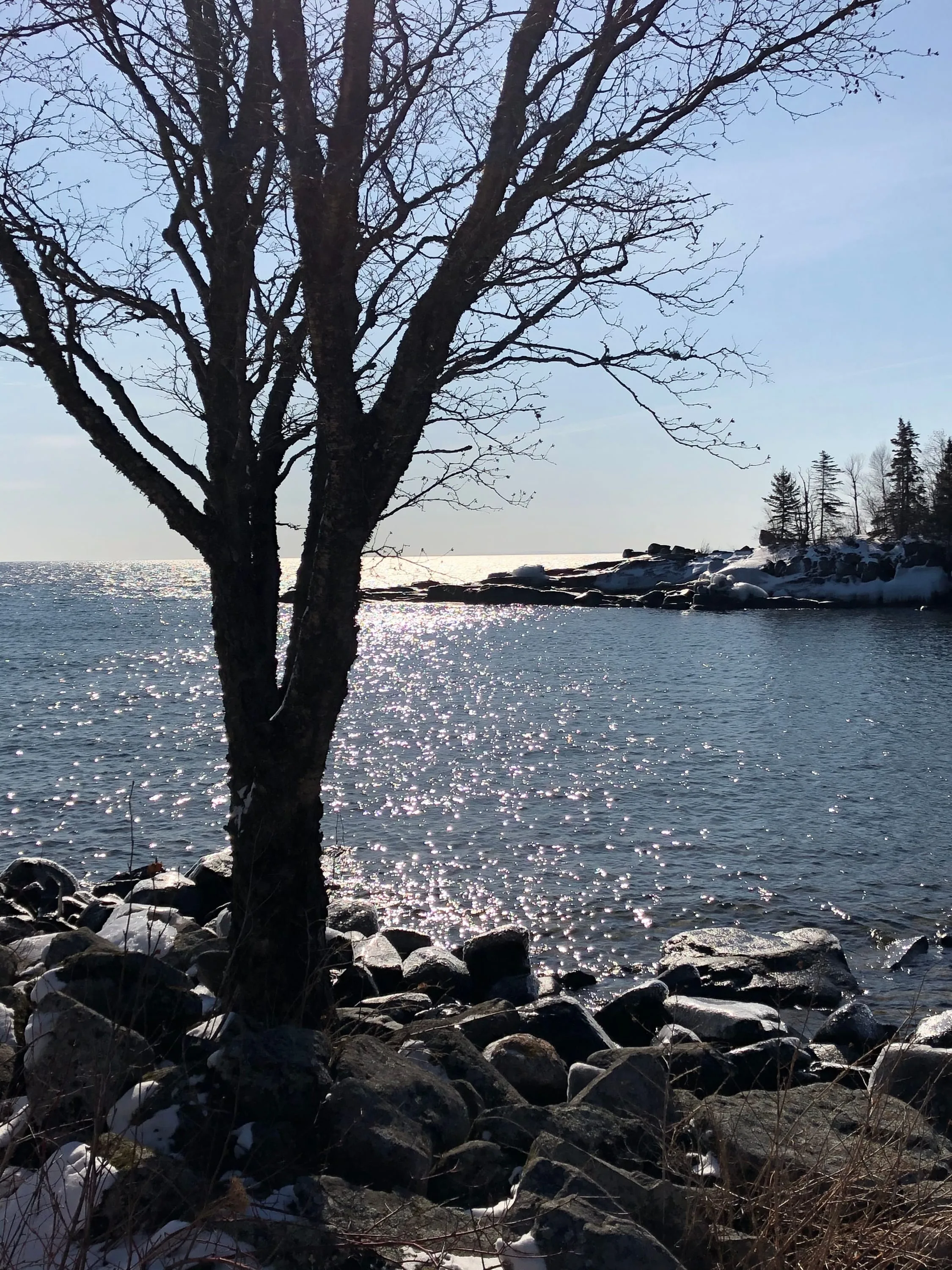 Lake Superior March 2020