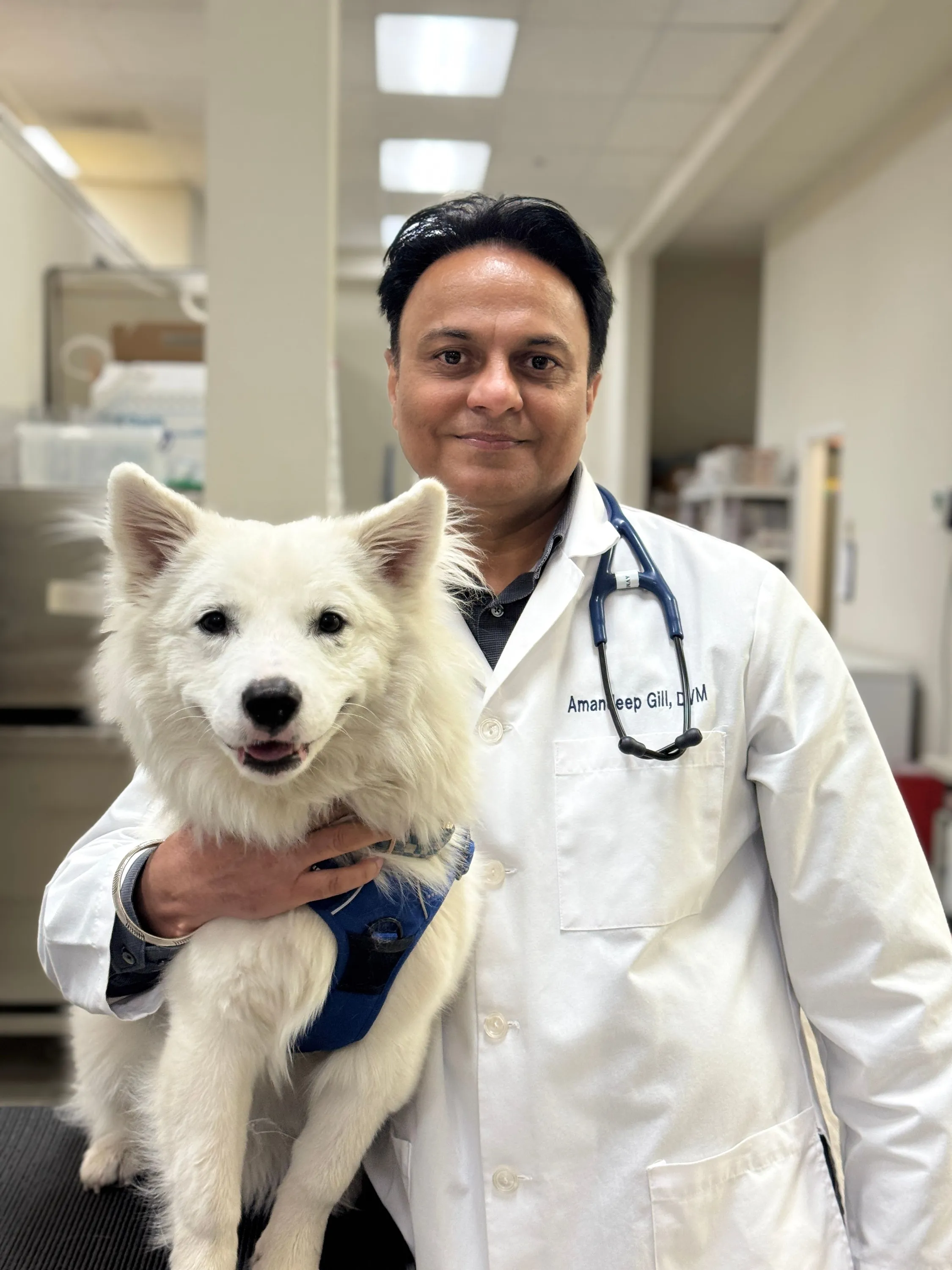 Pet Wellness Center Noah's Ark Pet Clinic The Ark Veterinary