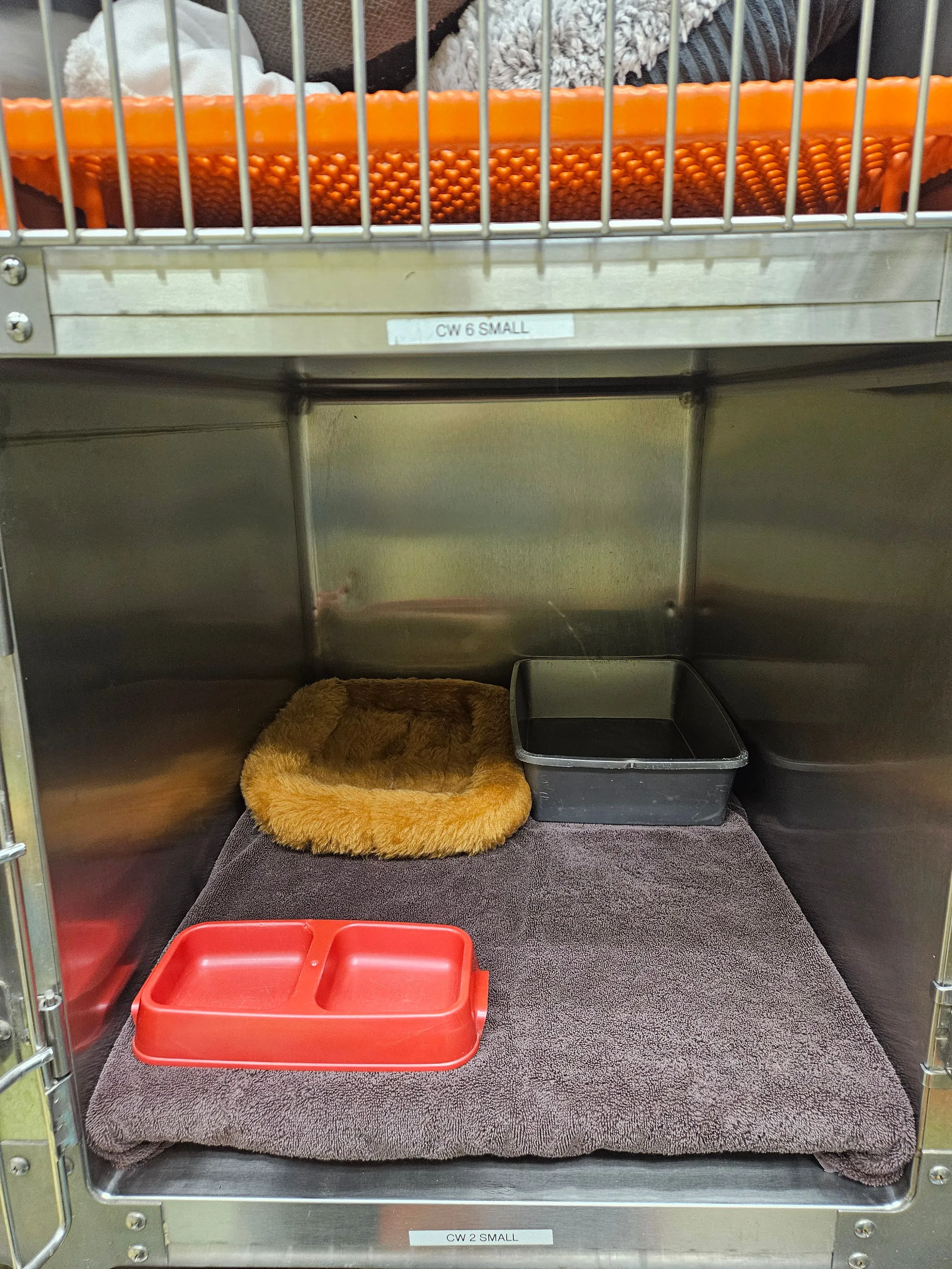 Cat Cottage (22"x30")