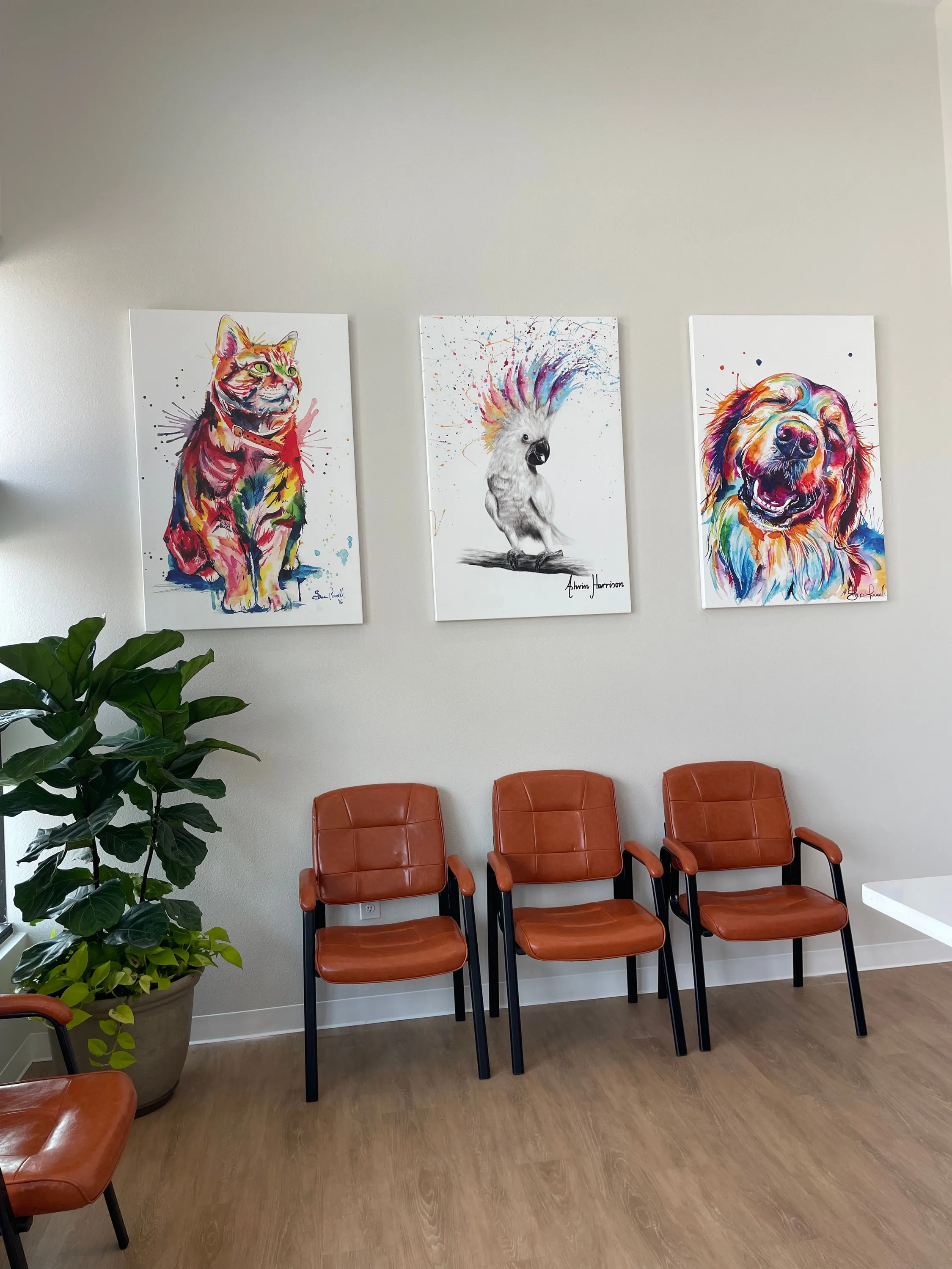 Custer Rd Animal Hospital