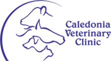 CALEDONIA Veterinary Clinic Logo