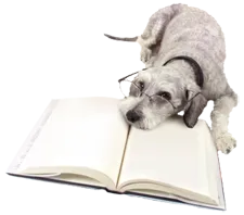 Image of a dog reading a book.