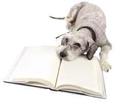 Image of a dog reading a book. 