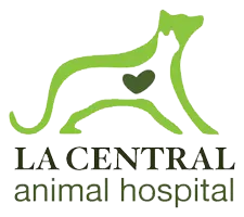 LA Central Animal Hospital