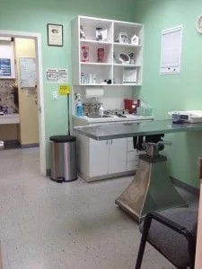  Veterinary exam room