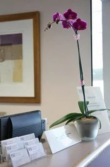 Welcome desk with purple flower