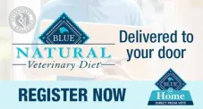 natural veterinary diet