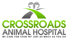 Small Animal Medicine and Surgery