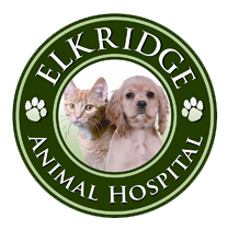 Elkridge Animal Hospital - The Original Veterinarian in Elkridge, MD