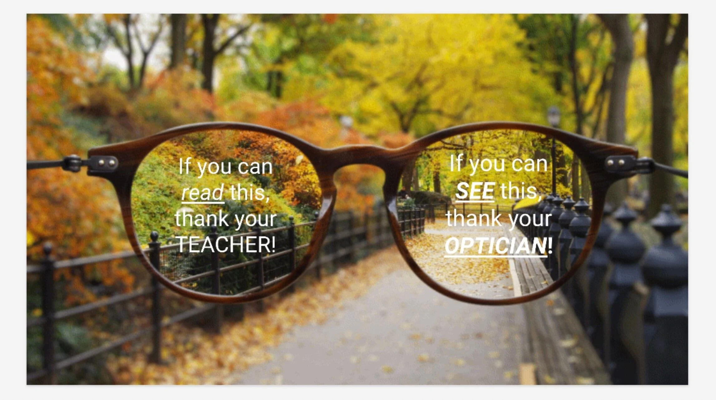 Teacher/Optician