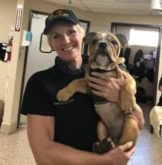 Bulldog Veterinarian Family Pet Clinic of Redondo Beach