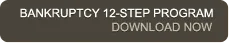 Bankruptcy 12-Step Program - Download Now