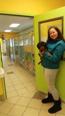 staff with dog in front of a door