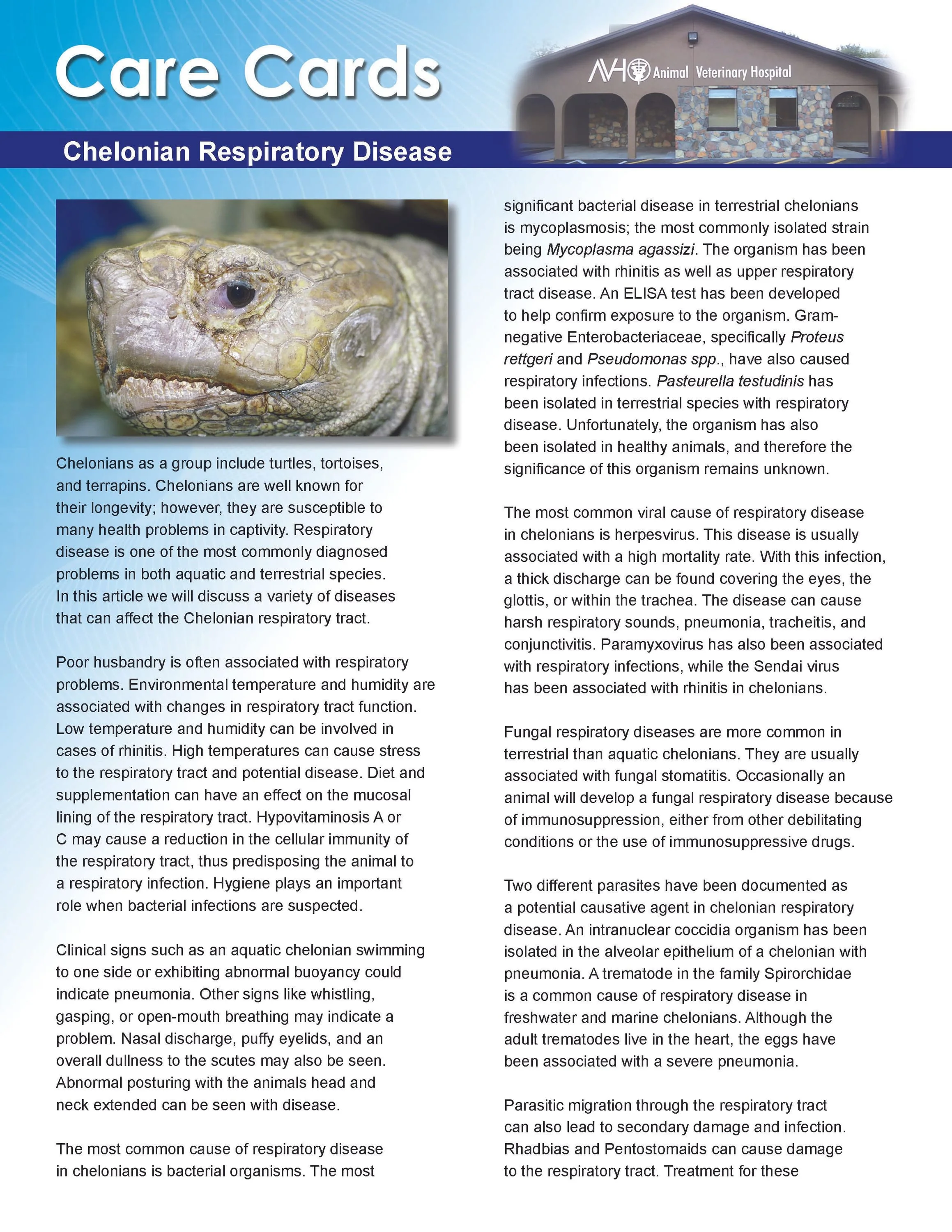 Chelonian Respiratory Disease
