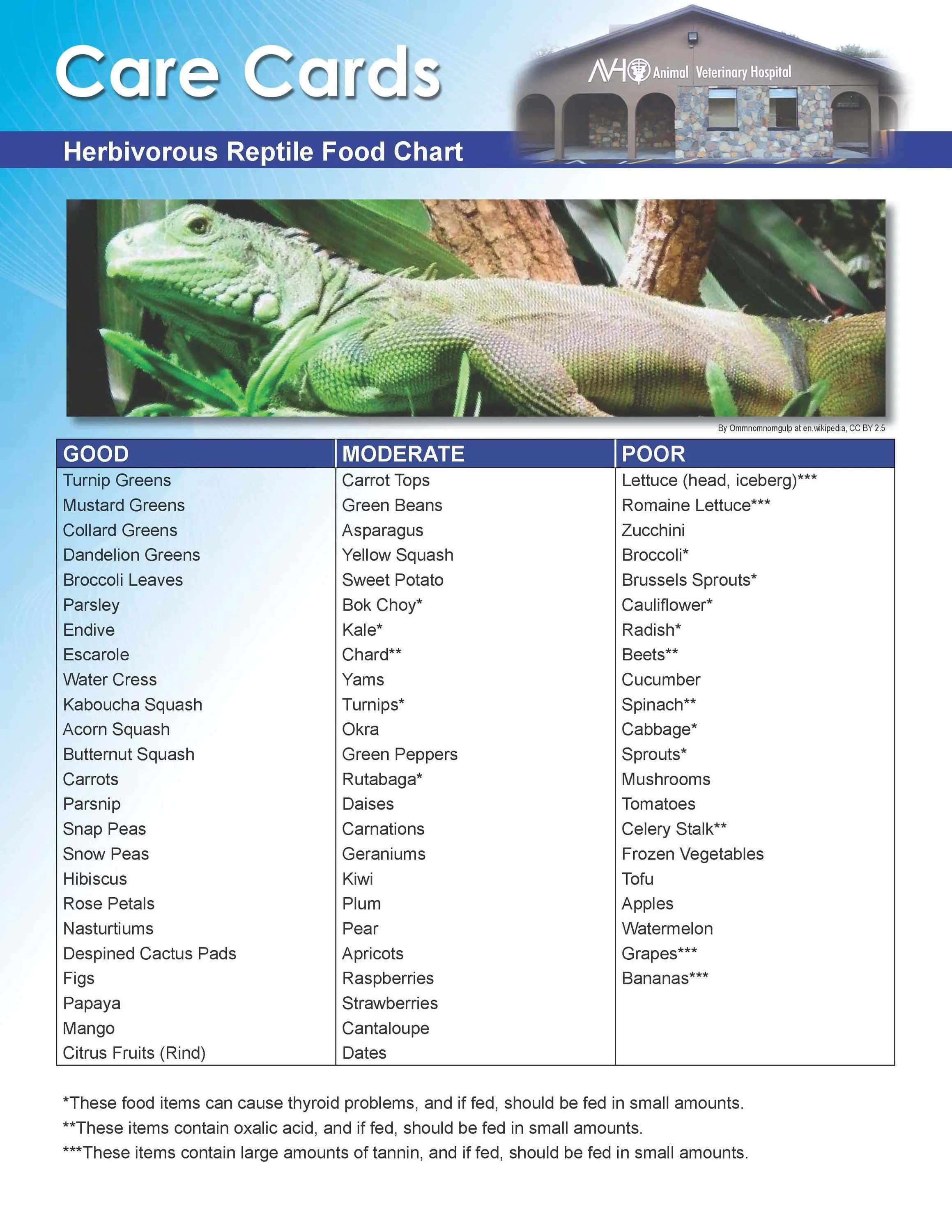 Herbivorous Reptile Food Chart