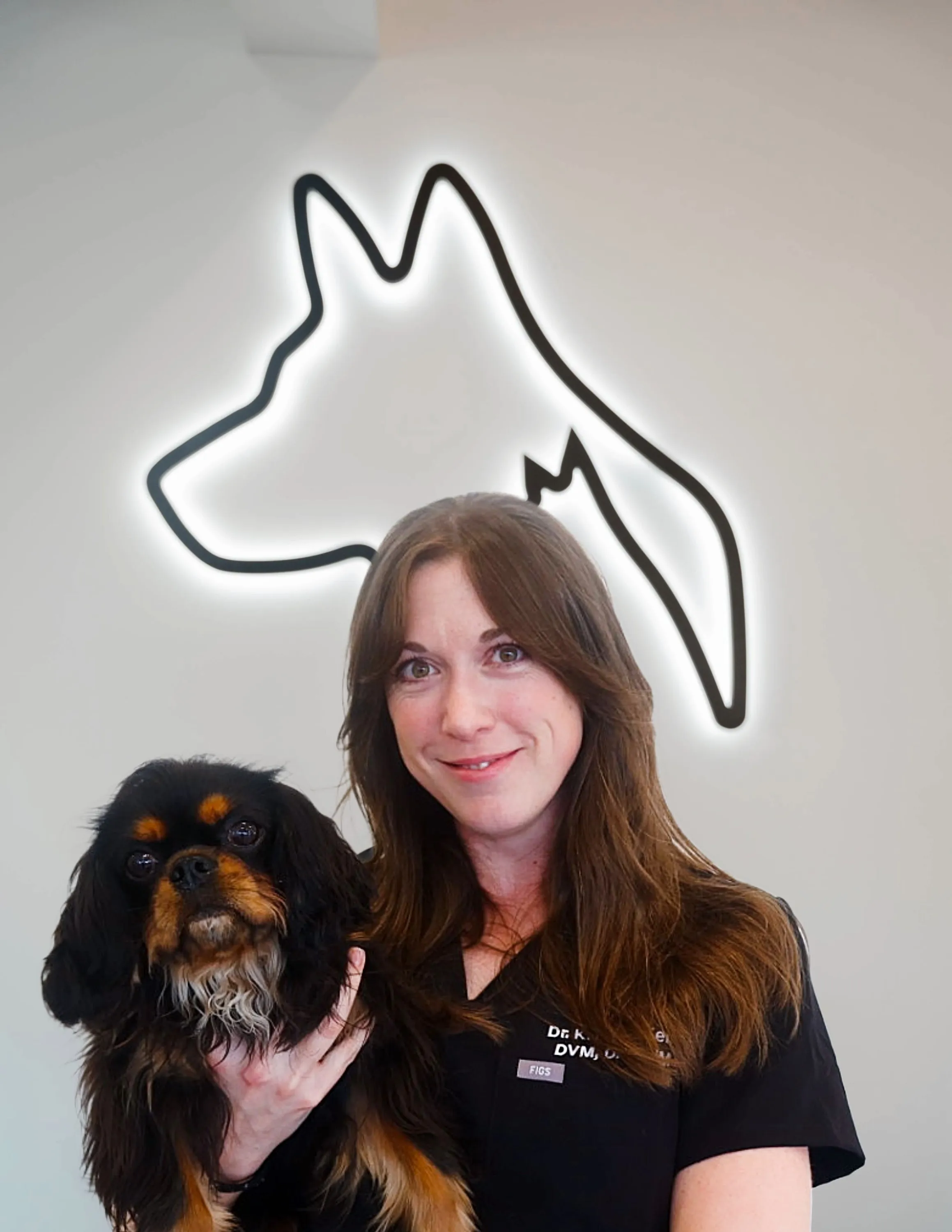 Dr. Kristen Kelly, DVM, DACVIM (SAIM)